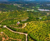 南雄柑橘種植技術(shù)要點(diǎn)_廣州深圳去韶關(guān)旅游最好選擇怎樣的出行方式